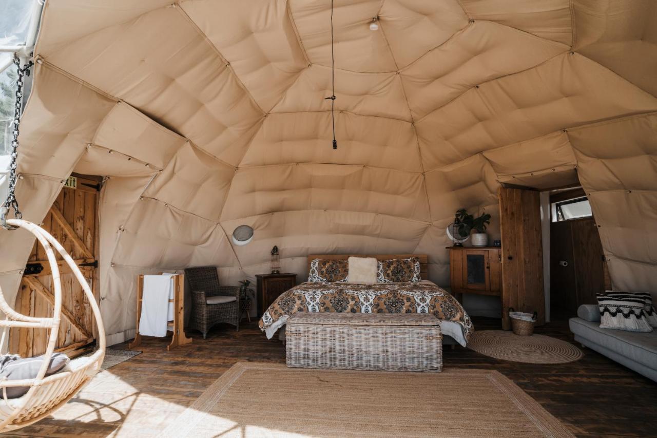 Valley Views Glamping Kurow Zewnętrze zdjęcie